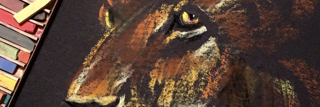 SaveALion's profile banner image