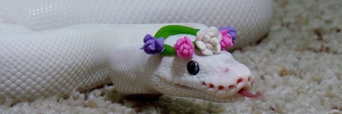 cilyca98's profile banner image