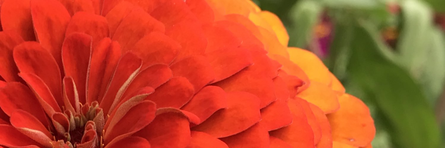 mbakkces1's profile banner image