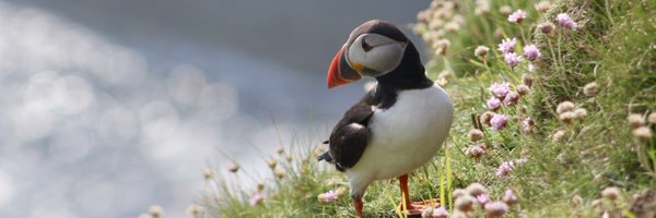 EdHancox Profile Banner