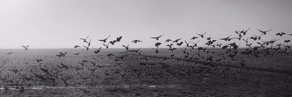 raisearchitects Profile Banner