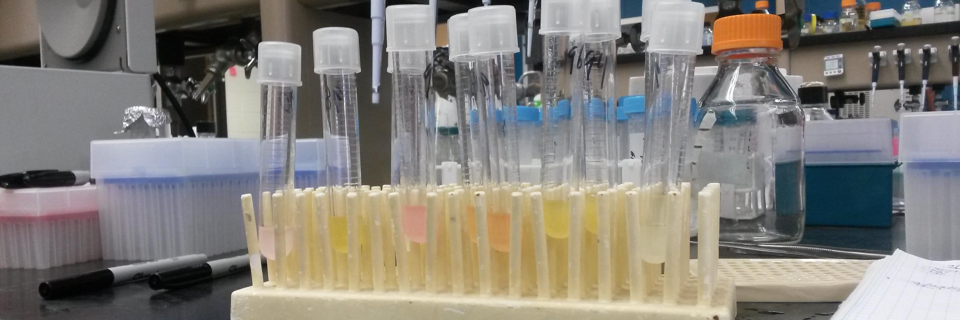 Maciej Maselko banner