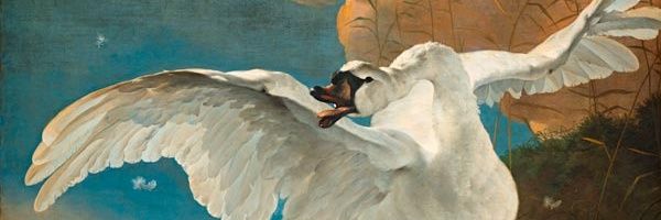 Fabian 🇺🇦 banner