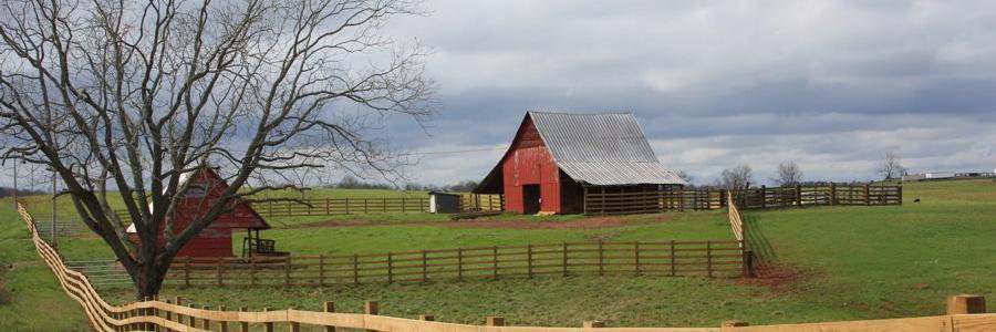 P00R_FARM3R's profile banner image