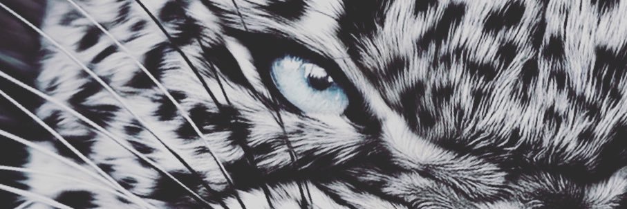Pn4right's profile banner image