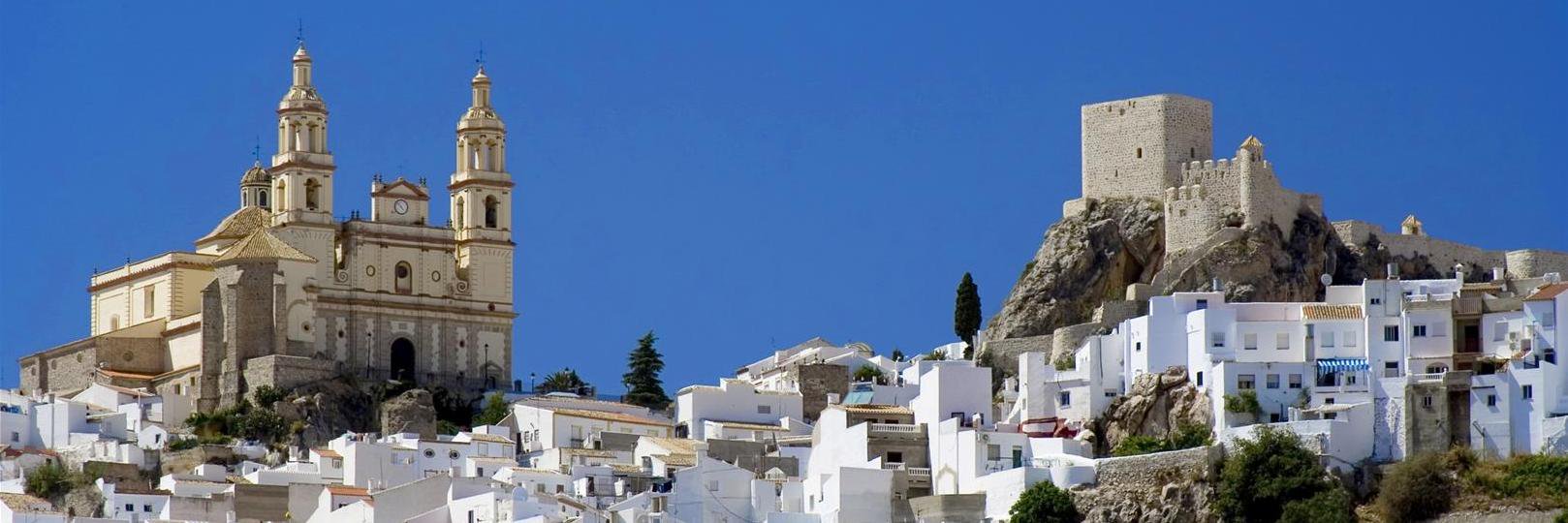 JAVIER ARENAS banner