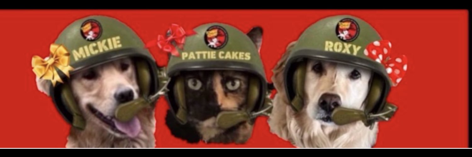 Roxy , Mickie, Pattie Cakes & Mom 🌹's banner