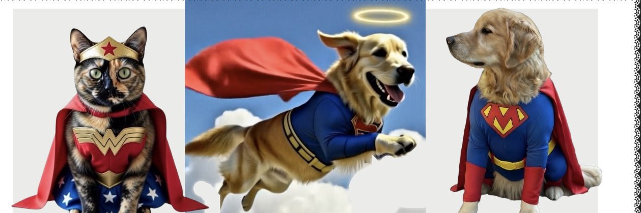 🌈ANGEL ROXY😇,&Mickie🐕 & 🐈‍⬛ Pattie Cakes #ZSHQ banner