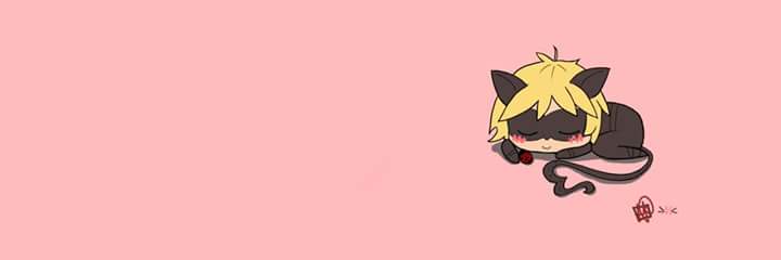 adelii890's profile banner image