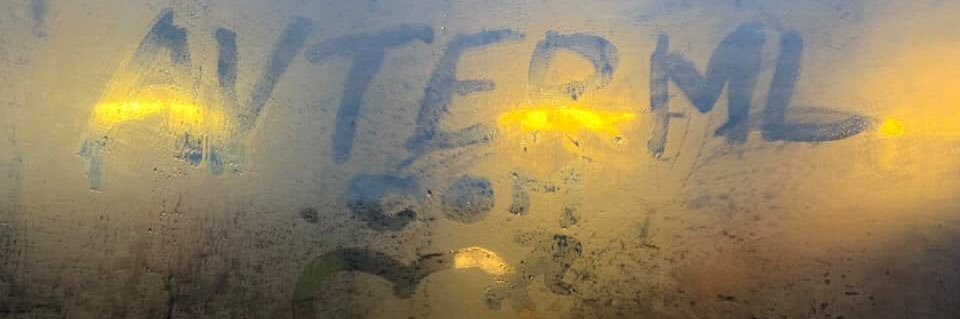 AVTERML-FNAUT banner