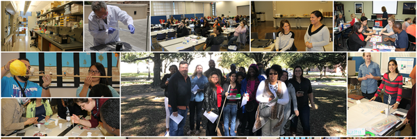 RiceU_STEM Profile Banner