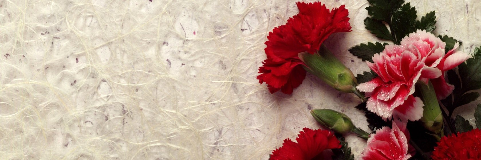 19OT88's profile banner image