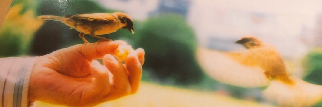 みんちゃん'𝟐𝟔 𖥧⌂* banner