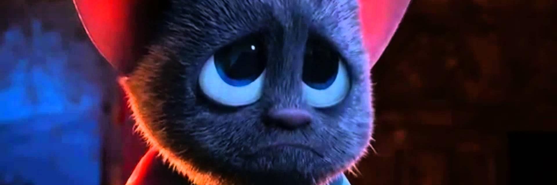 msoky's profile banner image