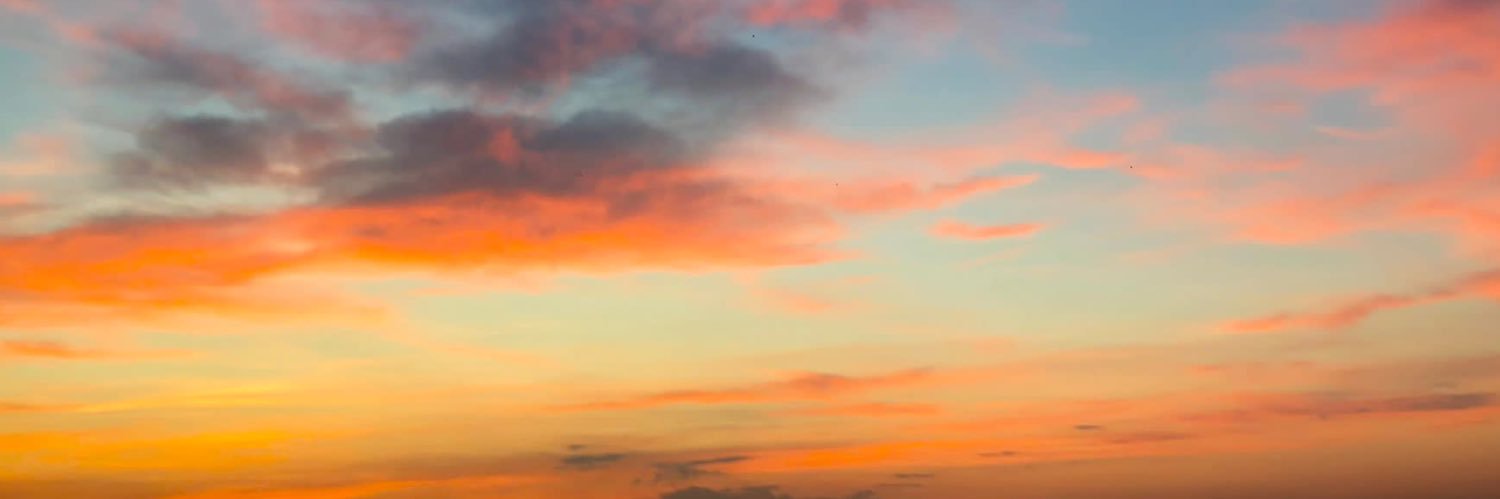 DavitheCucc's profile banner image