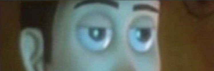 nixpoot's profile banner image