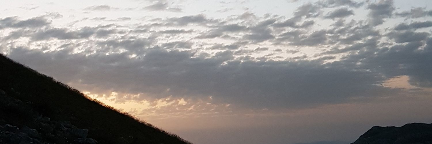 Riccardo De Benedictis banner