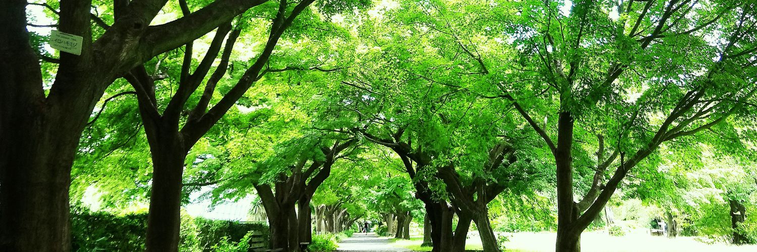 pimlico57's profile banner image