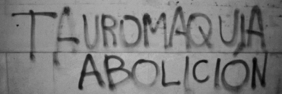 martarodret's profile banner image