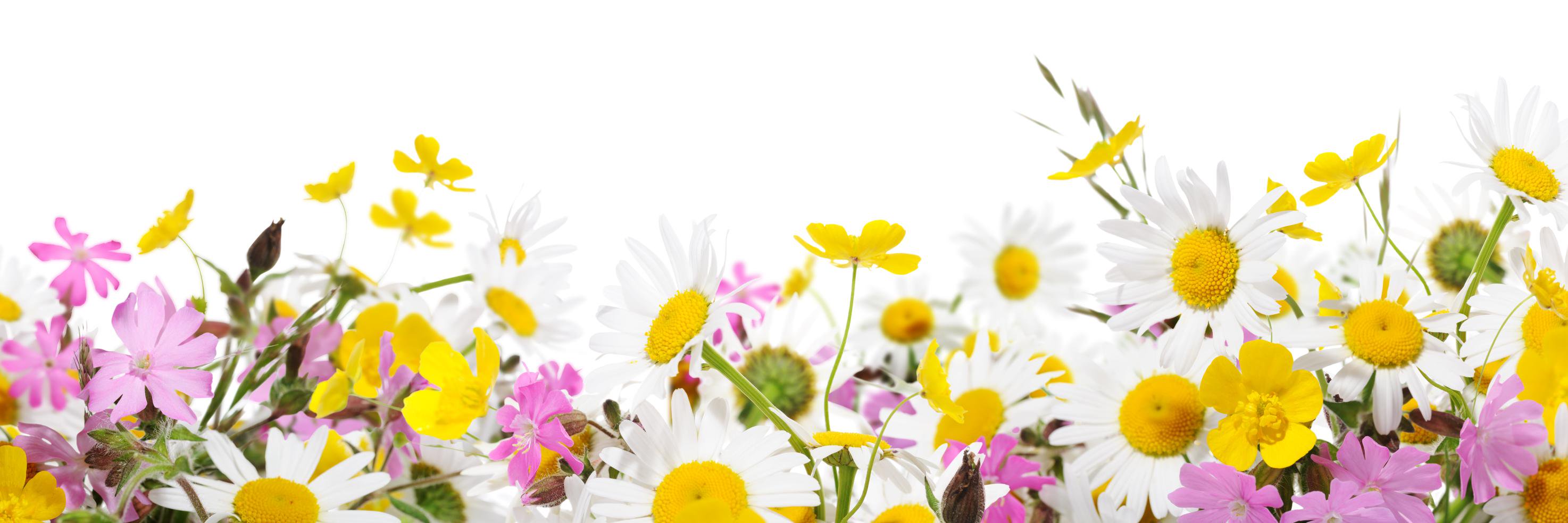 LouiseMos1's profile banner image