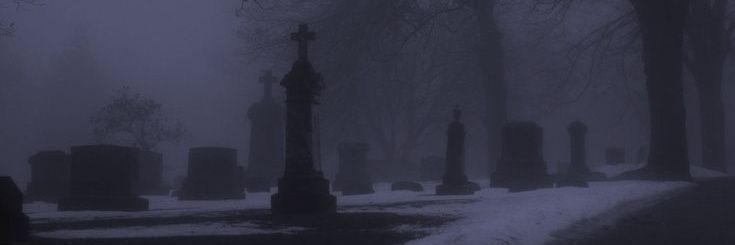 harparesse's profile banner image