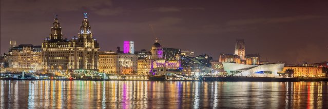 buzzbead 🐀 banner