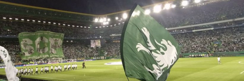 Rob Sillence banner