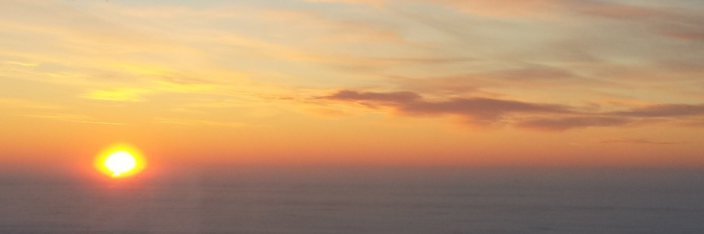 David Fischer, MD banner