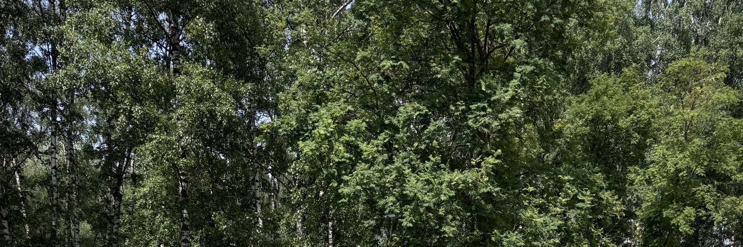 alexxxtwt's profile banner image