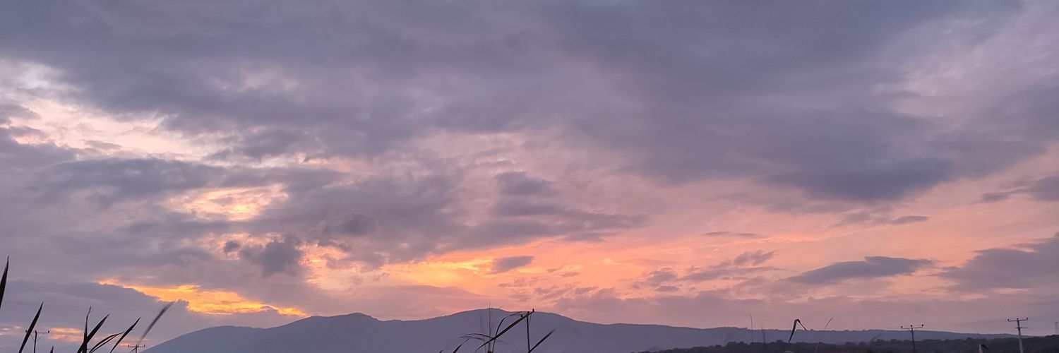 gulergulhan's profile banner image