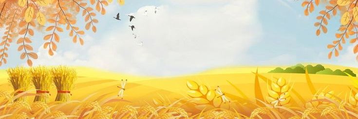 amer_khazali's profile banner image