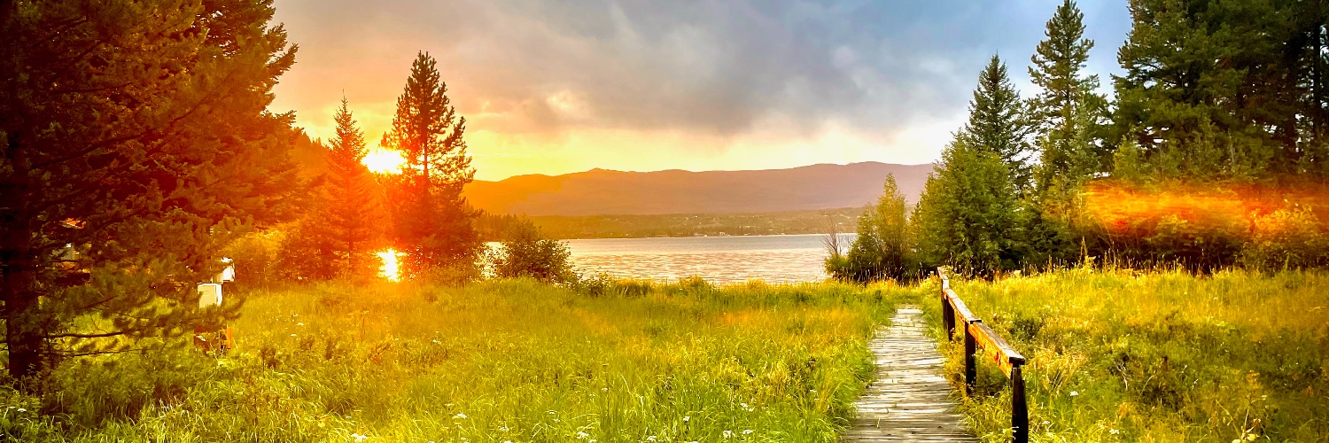 Emily Witt, MD MSc banner