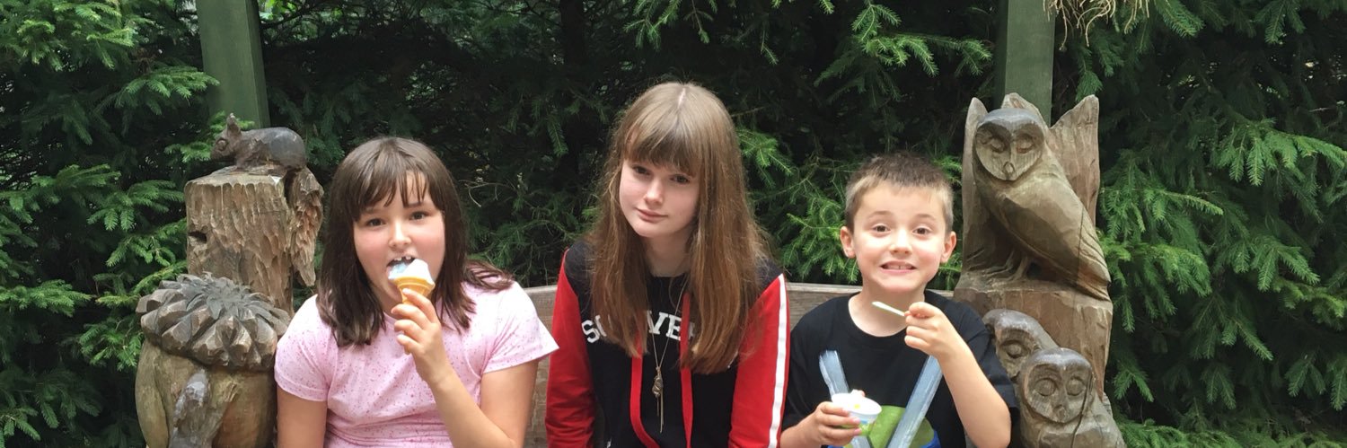 davinadeakin's profile banner image