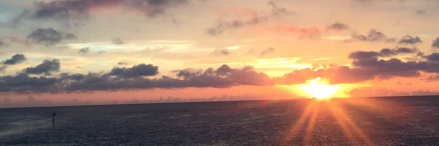 callieburdiss's profile banner image