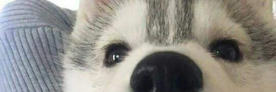 TseSoon's profile banner image