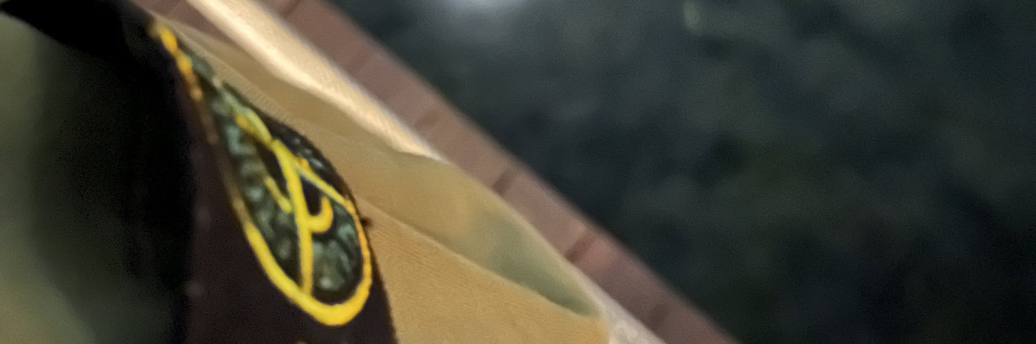 amerizmer's profile banner image