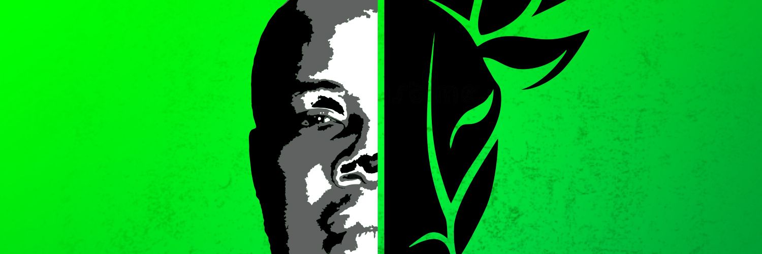 Buffalo banner