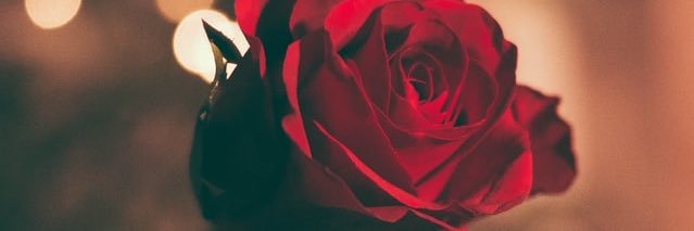 Heather Flanary banner
