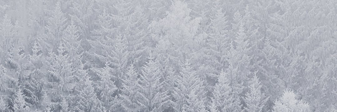 mattssonm's profile banner image