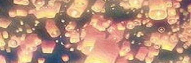 LynnvanderMeer's profile banner image