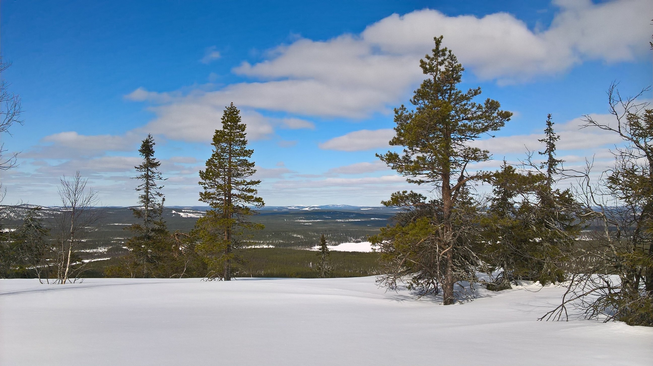 LasseHeikonen's profile banner image