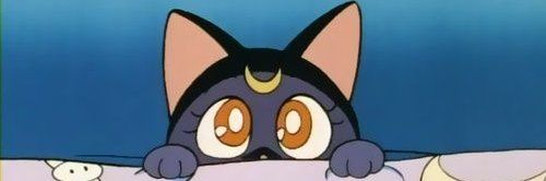 WhoopsiePoodle's profile banner image