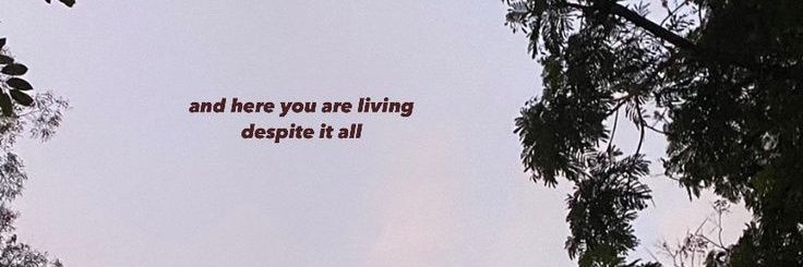 tyzmii's profile banner image