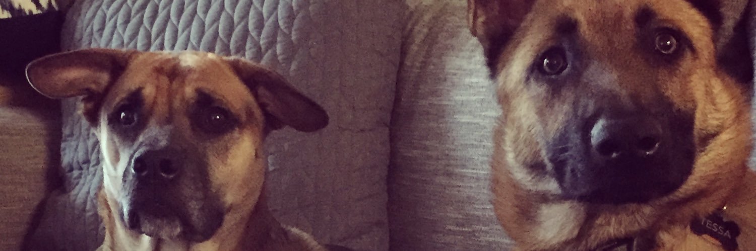 Melmichelle22's profile banner image