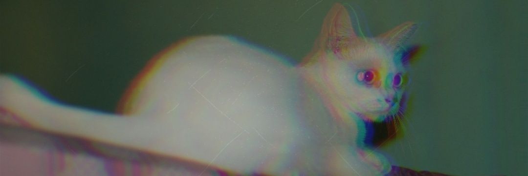 djopranoto's profile banner image