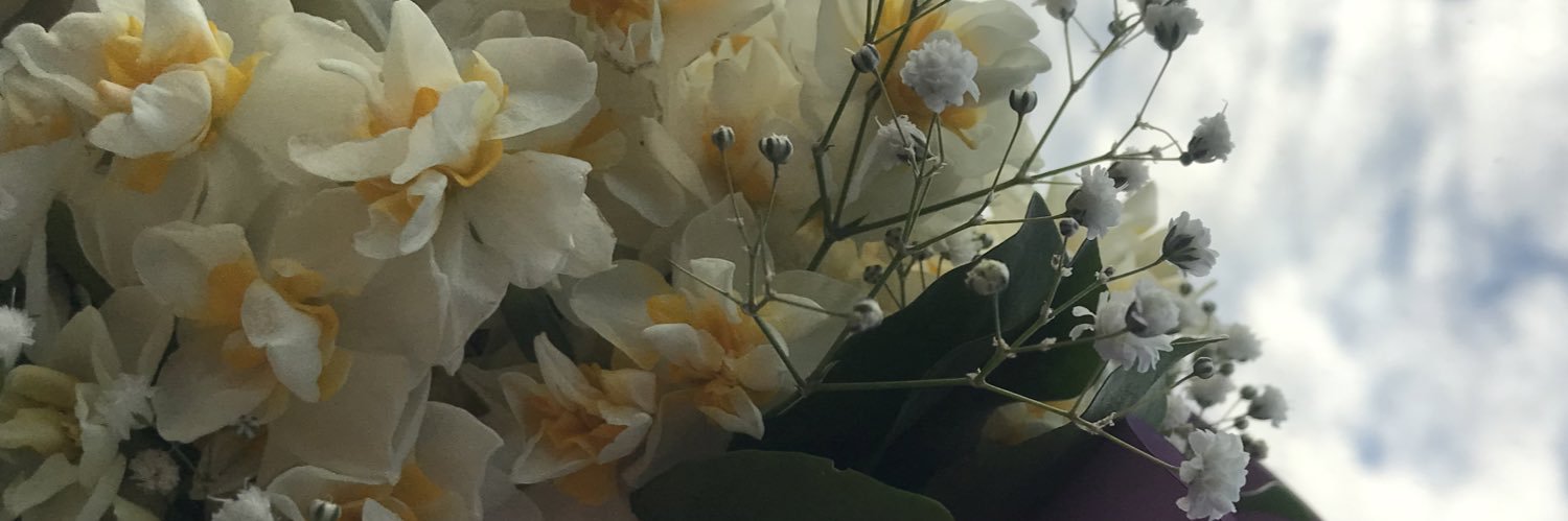 elf6155's profile banner image