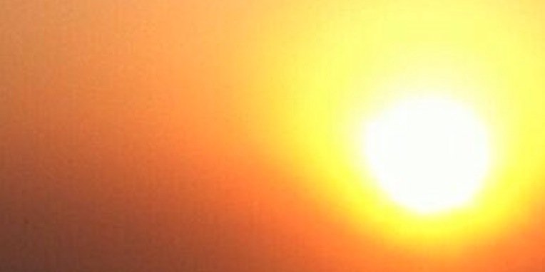 الزعيم الملكي banner