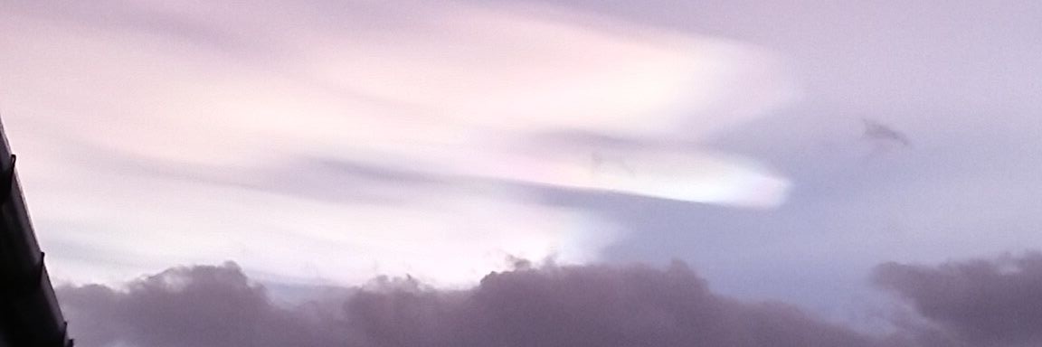 CaleyMcDowall's profile banner image