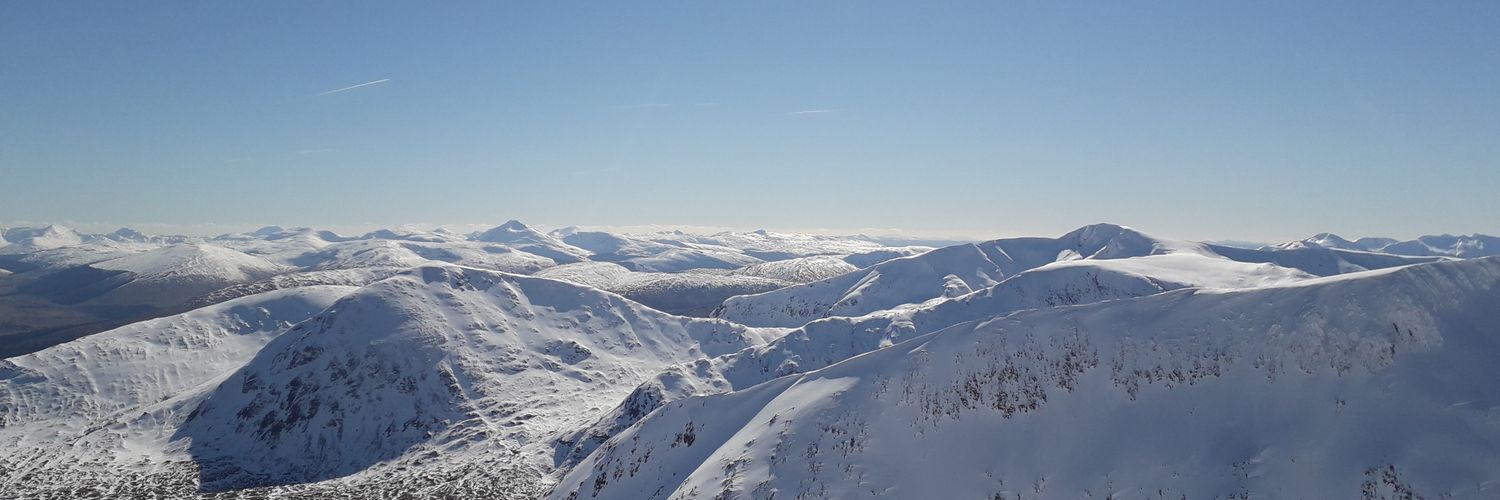 claire colvine banner