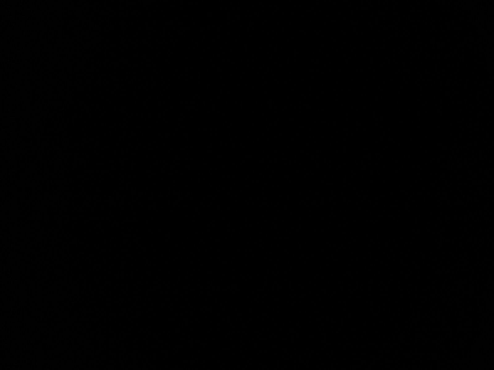 Shahad Ibrahim banner